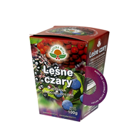 NATURA-WITA Herbatka Leśne Czary 100g (pudełko)