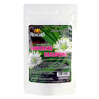 PROHERBIS Gorzknik Kanadyjski ekstrakt 5% berberyny 30g