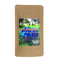PROHERBIS Hortensja - korzeń cięty 50g