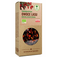 Herbatka Owoce Lasu BIO 100g DARY NATURY