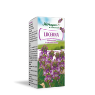 Lucerna 30kaps. HERBAPOL KRAKÓW
