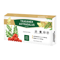Traganek Astragalus ekstrakt 10x10ml (fiolki) GINSENG POLAND