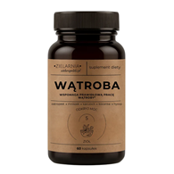 WĄTROBA 60 kaps. ZIELARZPOLSKI.PL