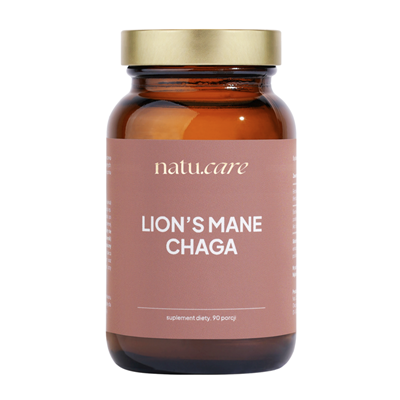 Lion's Mane & Chaga proszek 45g NATU.CARE