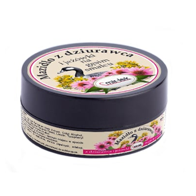 Mazidło dziurawcowe z jeżówką na gęsim smalcu 60g MIR-LEK