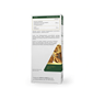 MEDICA HERBS Devil's Claw (Czarci pazur) 600mg, 60 kaps.