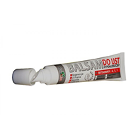 GORVITA Balsam do ust z wit. A, E, F 20ml