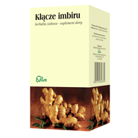 Imbir kłącze FIX 25*1,5g FLOS