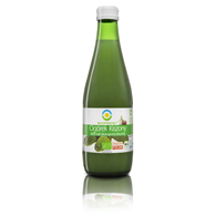 BIO FOOD Sok z ogórków kiszonych BIO 300ml