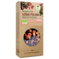 Herbatka Leśna polana BIO 100g DARY NATURY