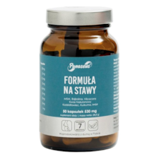 PANASEUS Formuła na Stawy - 50 kaps. YANGO
