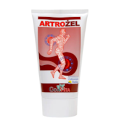 GORVITA Artrożel 100ml