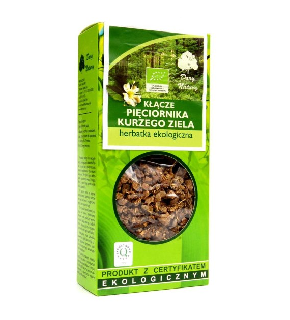 Pięciornik kurze ziele kłącze BIO 50g DARY NATURY