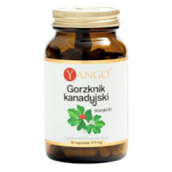 YANGO Gorzknik kanadyjski ekstrakt 10:1 380mg, 90 kaps.