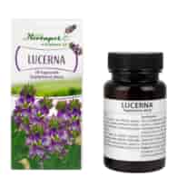 Lucerna 30kaps. HERBAPOL KRAKÓW