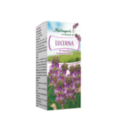 Lucerna 30kaps. HERBAPOL KRAKÓW