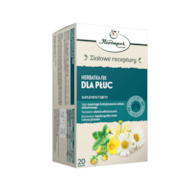 Herbatka Dla Płuc fix 20*2g HERBAPOL KRAKÓW