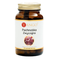 YANGO Pachnotka zwyczajna 90 kaps.