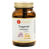 YANGO Traganek Astragalus - ekstrakt 10:1 340mg, 100 kaps.