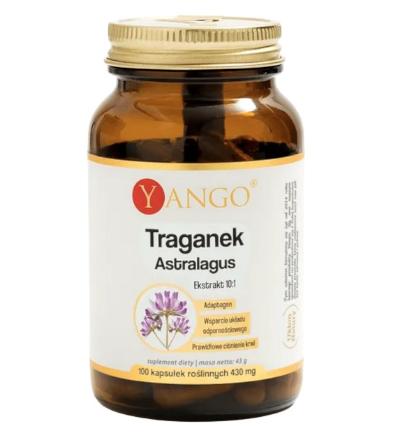 YANGO Traganek Astragalus - ekstrakt 10:1 340mg, 100 kaps.