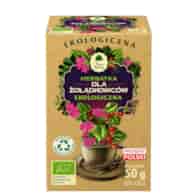 Herbatka Dla żołądkowców fix BIO 25*2g DARY NATURY