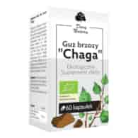 Guz Brzozy  Chaga  60kaps. Ekologiczny Suplement diety DARY NATURY