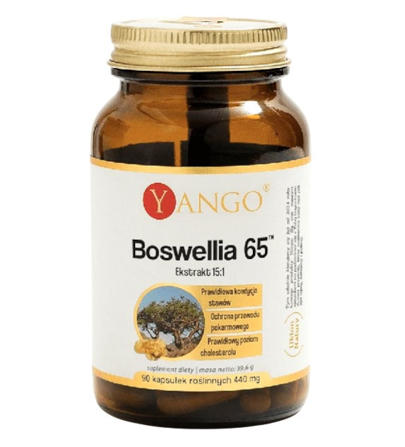 YANGO Boswellia 65 - ekstrakt 15:1 370mg, 90 kaps.