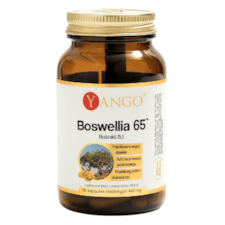 YANGO Boswellia 65 - ekstrakt 15:1 370mg, 90 kaps.