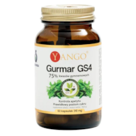 YANGO Gurmar GS4 ekstrakt 220mg, 60 kaps.