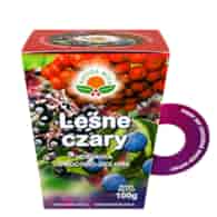 NATURA-WITA Herbatka Leśne Czary 100g (pudełko)