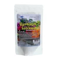 PROHERBIS Ruszczyk kolczasty - korzeń cięty 50g