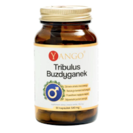 YANGO Tribulus Buzdyganek 450mg, 90 kaps.