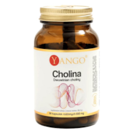 YANGO Cholina - Dwuwinian choliny - 90 kaps.