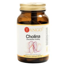 YANGO Cholina - Dwuwinian choliny - 90 kaps.