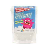 PIĘĆ PRZEMIAN Cuksy miętowe z ksylitolem 13g