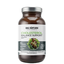 BIG NATURE Kapsułki Cholesterol Balance Support 60 kaps.