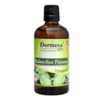 DERMESA Sok z Żyworódki Kalanchoe Pinnata 100ml