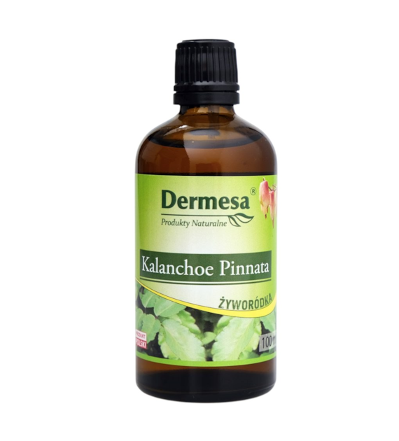 DERMESA Sok z Żyworódki Kalanchoe Pinnata 100ml