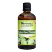 DERMESA Sok z Żyworódki Kalanchoe Pinnata 100ml