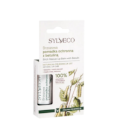 Pomadka brzozowa ochronna z betuliną 4,4g SYLVECO