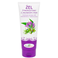GORVITA Żel żywokostowy z jałowcem i MSM 200ml