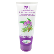 GORVITA Żel żywokostowy z jałowcem i MSM 200ml