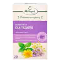 Herbatka dla trzustki fix 20*2g HERBAPOL KRAKÓW