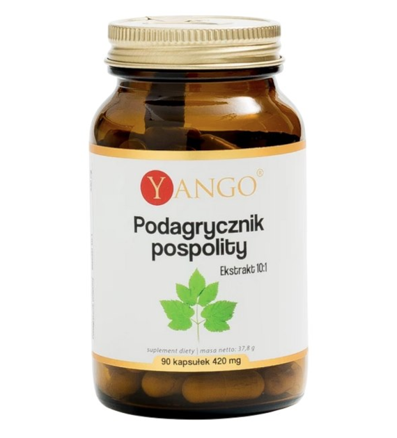 YANGO Podagrycznik pospolity - ekstrakt 10:1 330mg, 90 kaps.