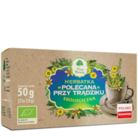 Herbatka Polecana przy trądziku fix BIO 25*2g DARY NATURY