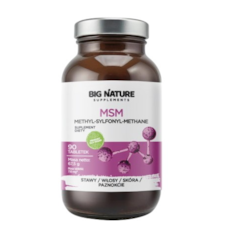 BIG NATURE Tabletki MSM 750mg, 90 tabl.
