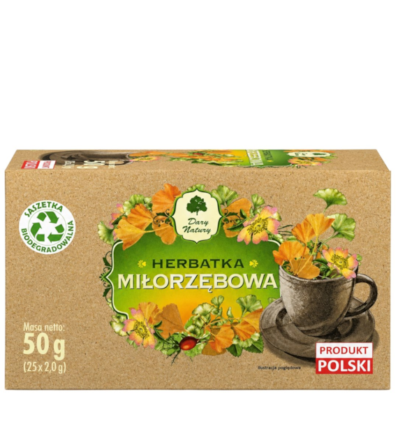 Herbatka Miłorzębowa fix 25*2g DARY NATURY