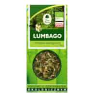 Herbatka Przeciwreumatyczna Lumbago BIO 50g DARY NATURY