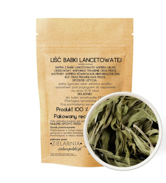 Babka lancetowata liść 50g ZIELARZPOLSKI.PL