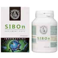 SIBOn 120 kaps. BONIMED